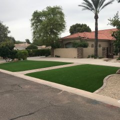 Green grass and palm trees give this front yard a great look