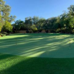 A huge putting green in combination with our XS (extra-soft) turf