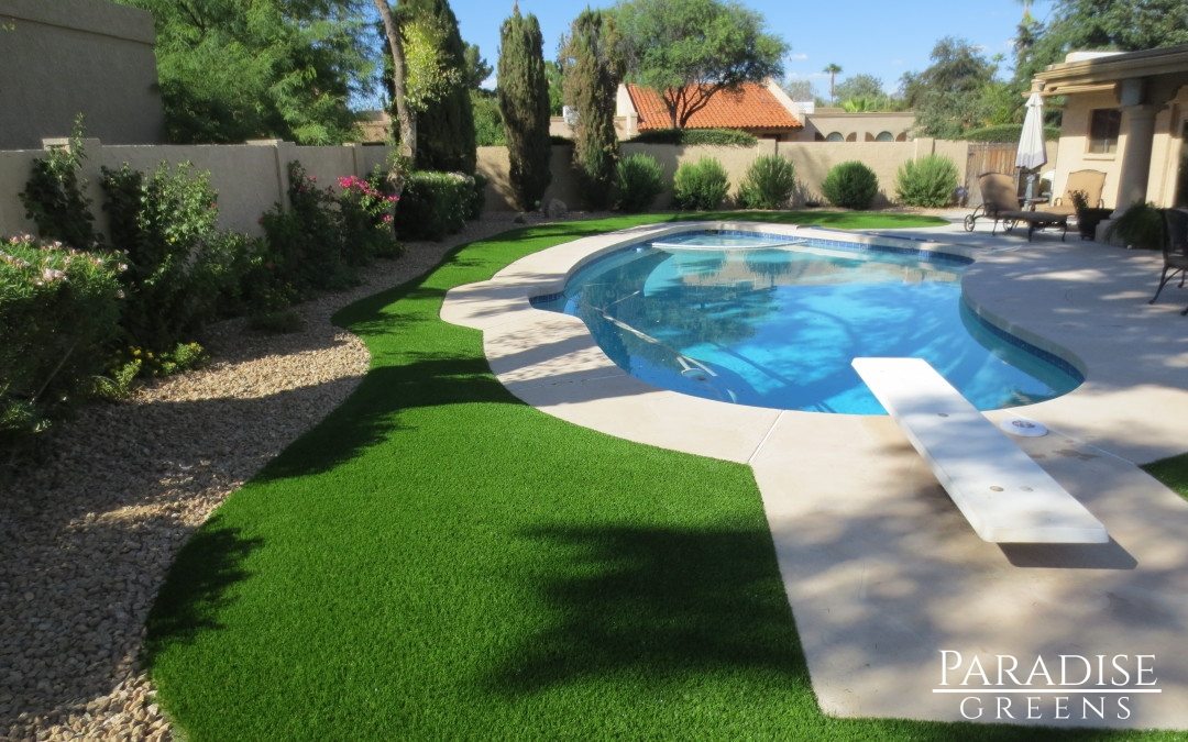 Paradise Greens: Luxurious Lawns That Last Forever