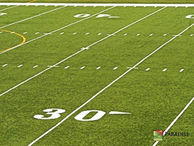 Artificial Grass vs. Natural Grass in the Sports World