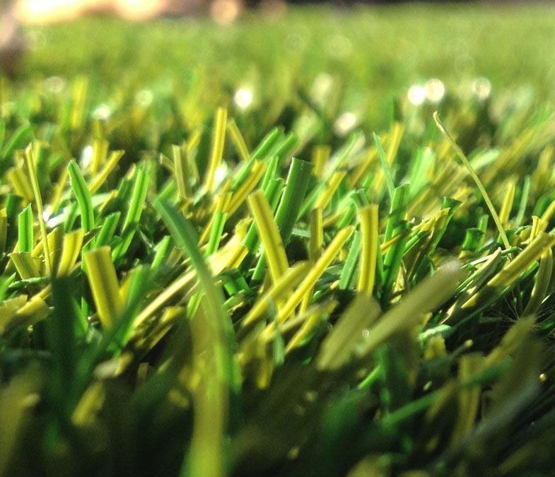 More Incentives for Installing Artificial Grass!
