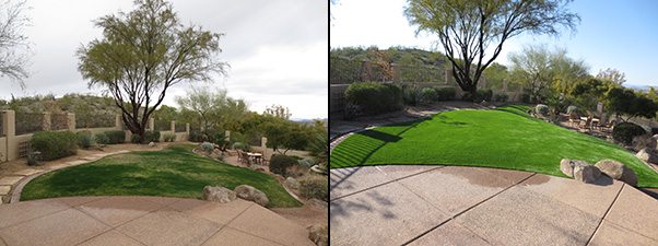 Paradise Greens install in the arizona desert