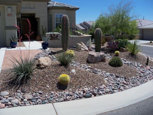 Having a Green Lawn in Arizona Without Water