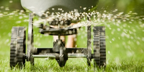 Switch from Seeding to Synthetic Grass