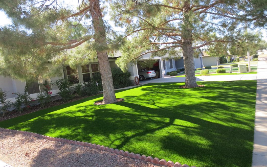 Artificial Grass: The Ultimate Lawn Solution!