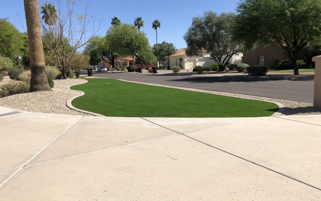 Back Yard First, Front Yard Second: A Paradise Greens Makeover