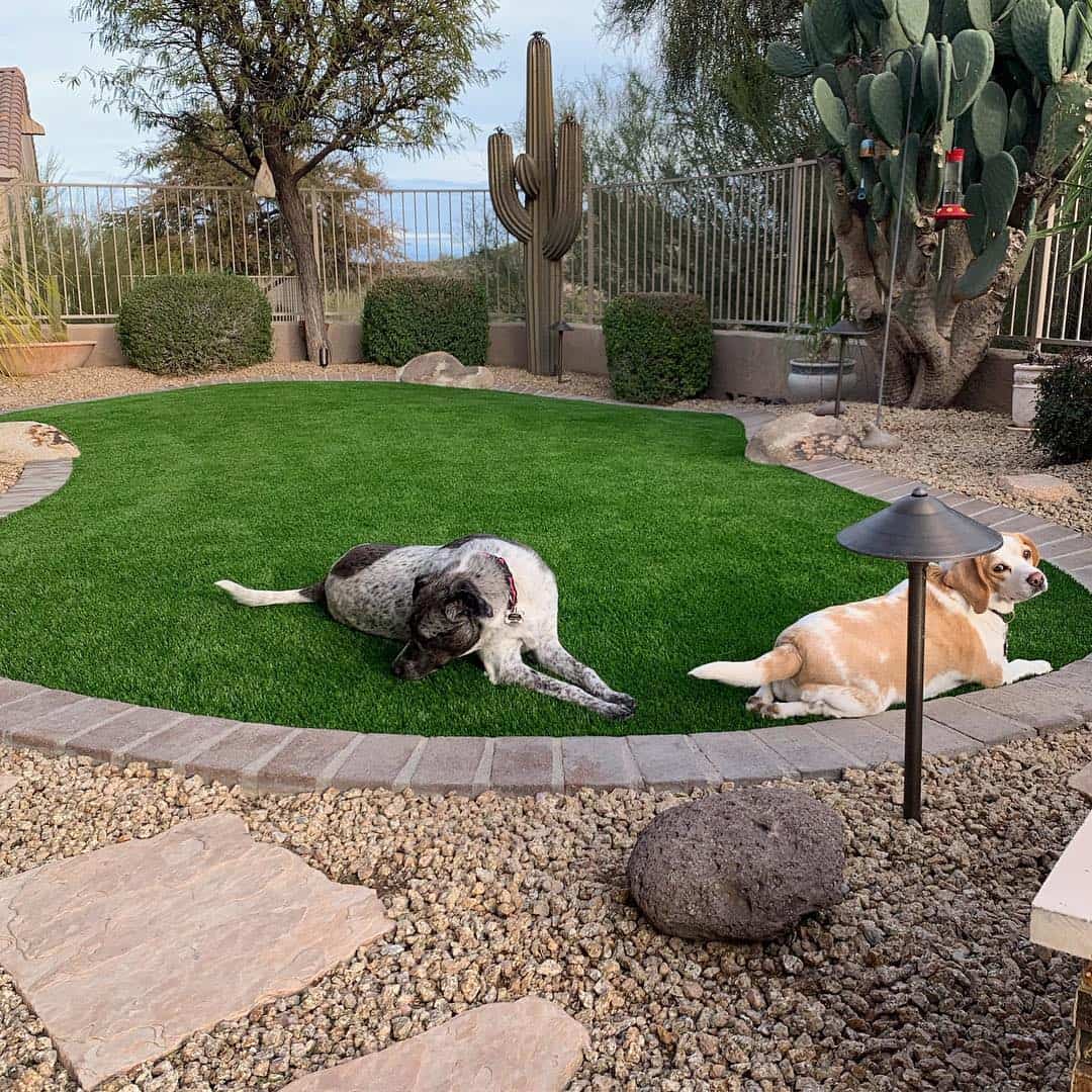 how do you use fake grass on dogs