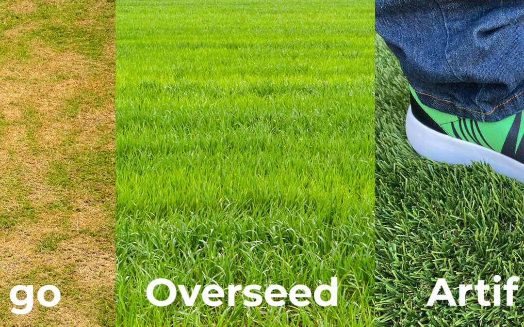 Overseeding? Try Artificial Grass