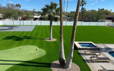 Paradise Greens Once Again Named #1 in Arizona for Artificial Grass Installation by the Ranking Arizona 2024 Directory