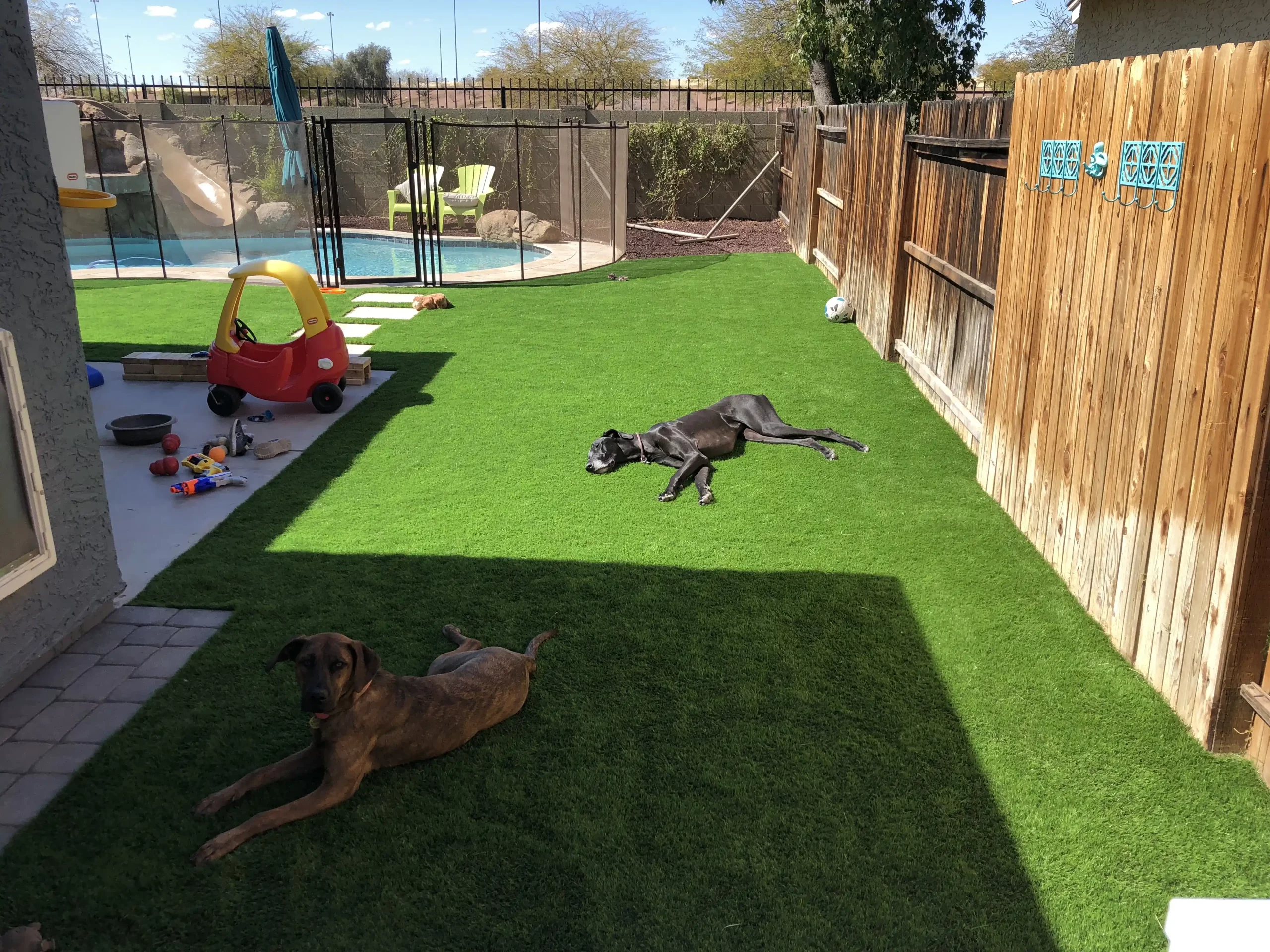Artificial Grass for Pets in Phoenix, AZ