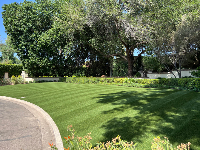 Artificial Grass Lawn in Phoenix, AZ