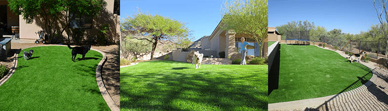 artificial grass pet run arizona
