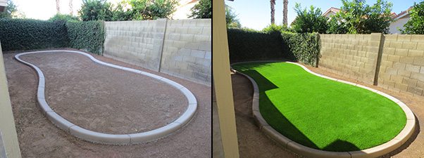 dogs need artificial grass
