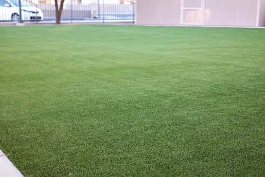 Artificial grass installed at Horizon Honors Middle School in Phoenix, AZ