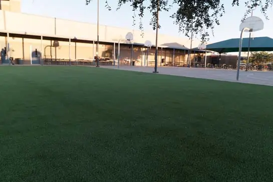 Artificial grass installed at Horizon Honors Middle School in Phoenix, AZ