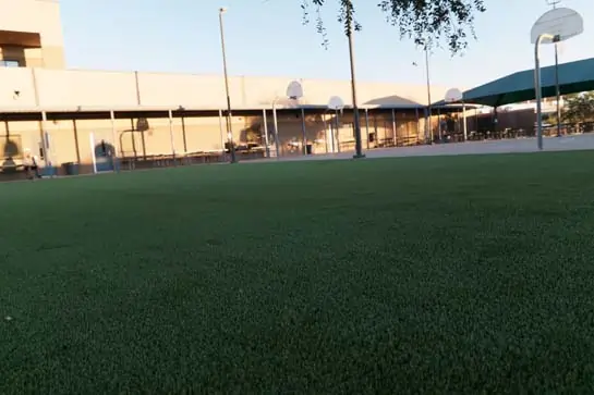 Artificial grass installed at Horizon Honors Middle School in Phoenix, AZ