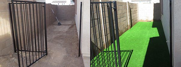 pets love artificial grass