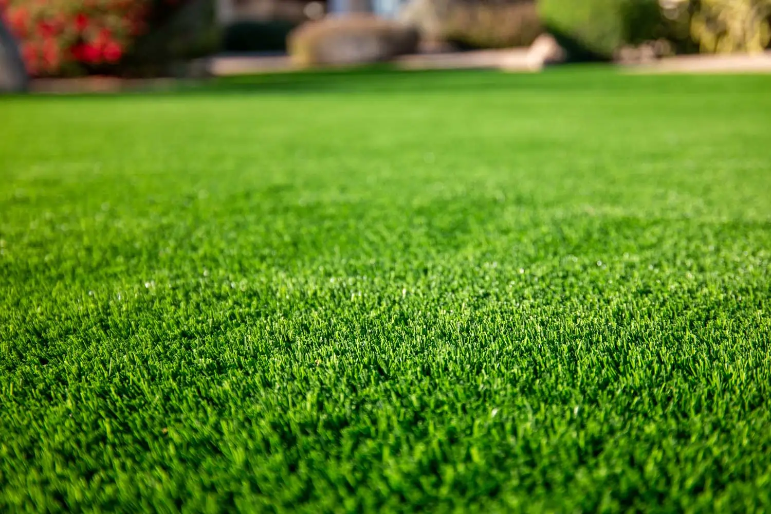 Close up of paradise greens artificial lawn