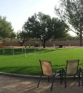 artificial pet lawn in Phoenix, AZ