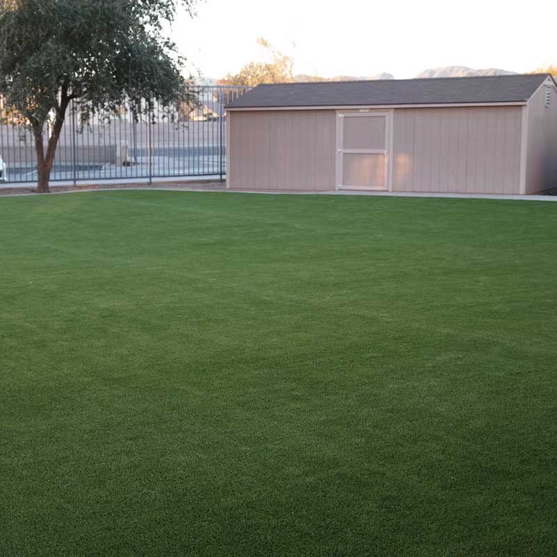 school-with-shed-turf